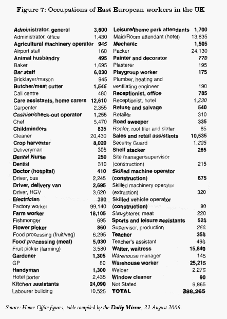 Occupations of E. European workers