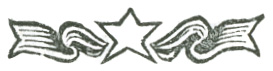 Stylized section break graphic